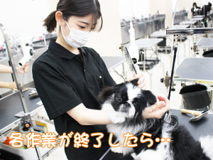 学校のモデル犬とトリミングをがんばっています♪